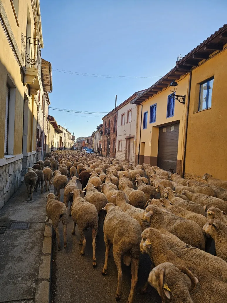 20251010_095658.jpg?type=w773