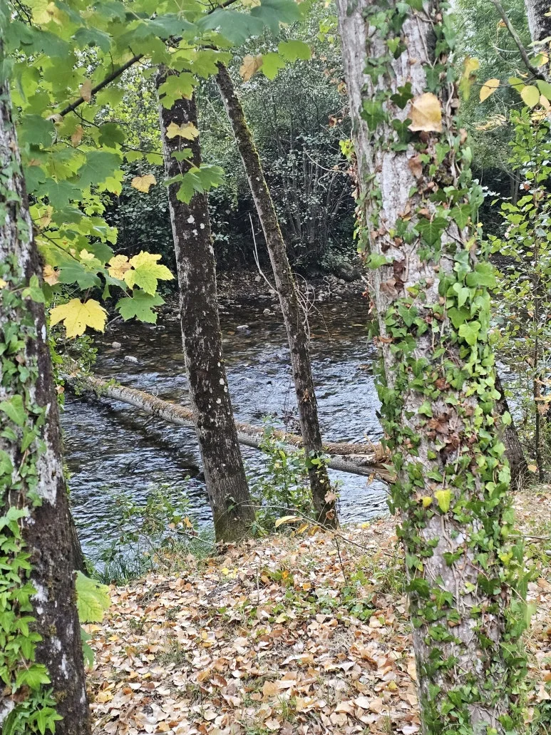 20251014_085810.jpg?type=w773