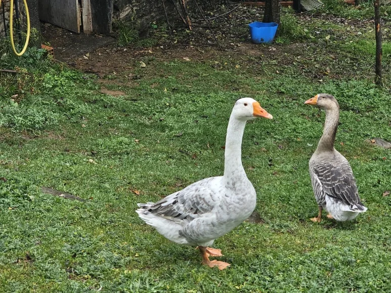 20251019_160950.jpg?type=w773