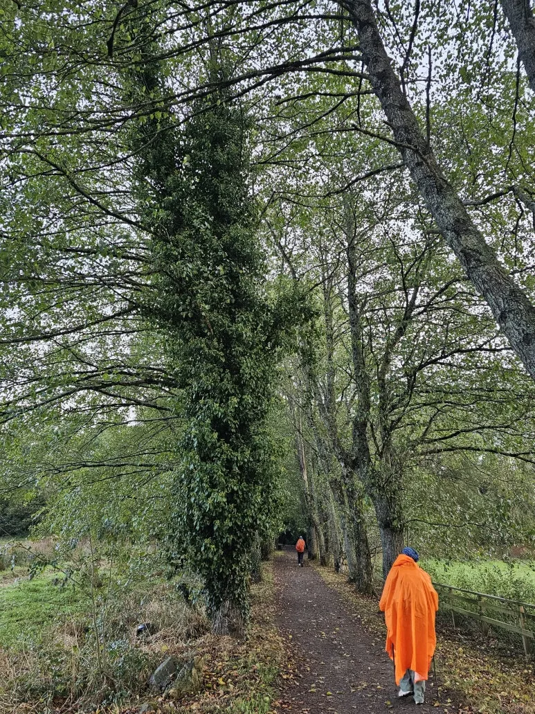 20251019_094818.jpg?type=w773