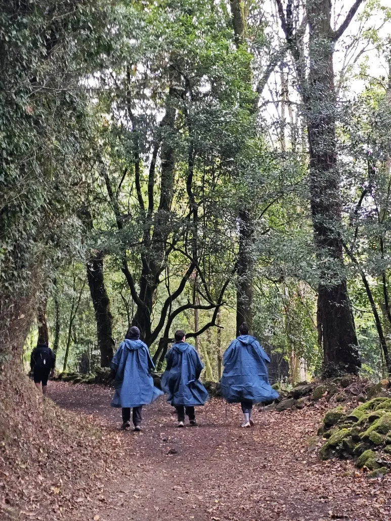 20251019_110205.jpg?type=w773