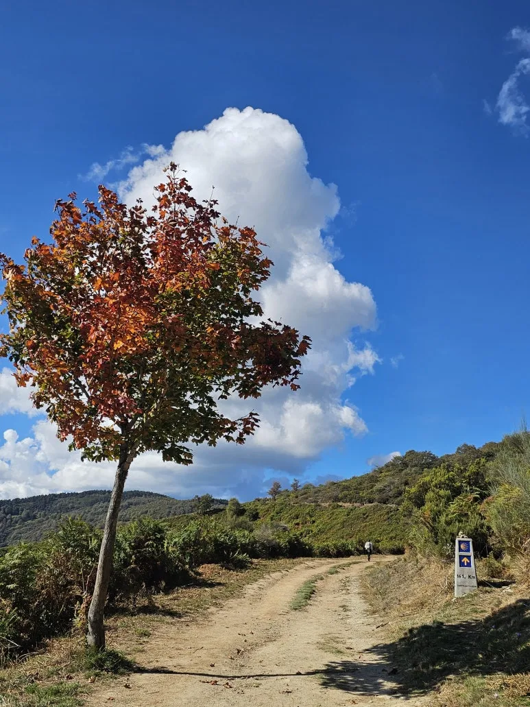 20251014_132802.jpg?type=w773