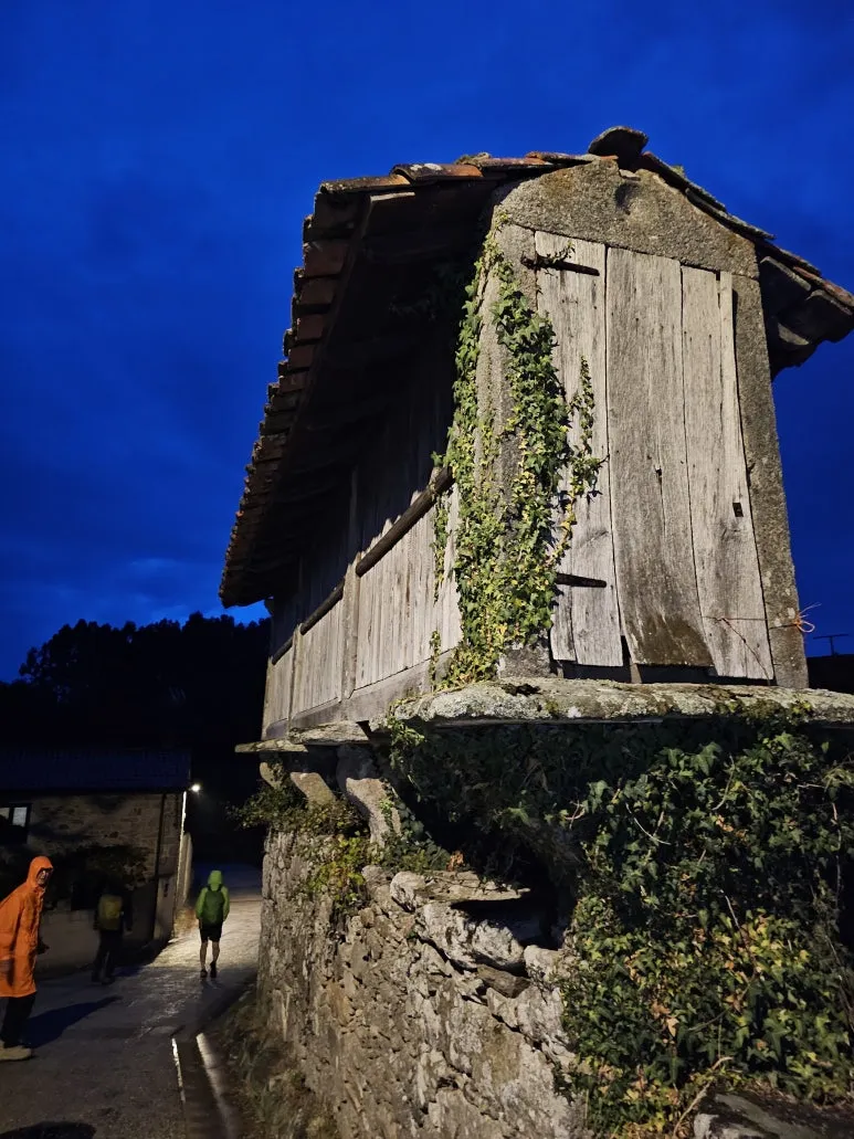 20251019_082228.jpg?type=w773