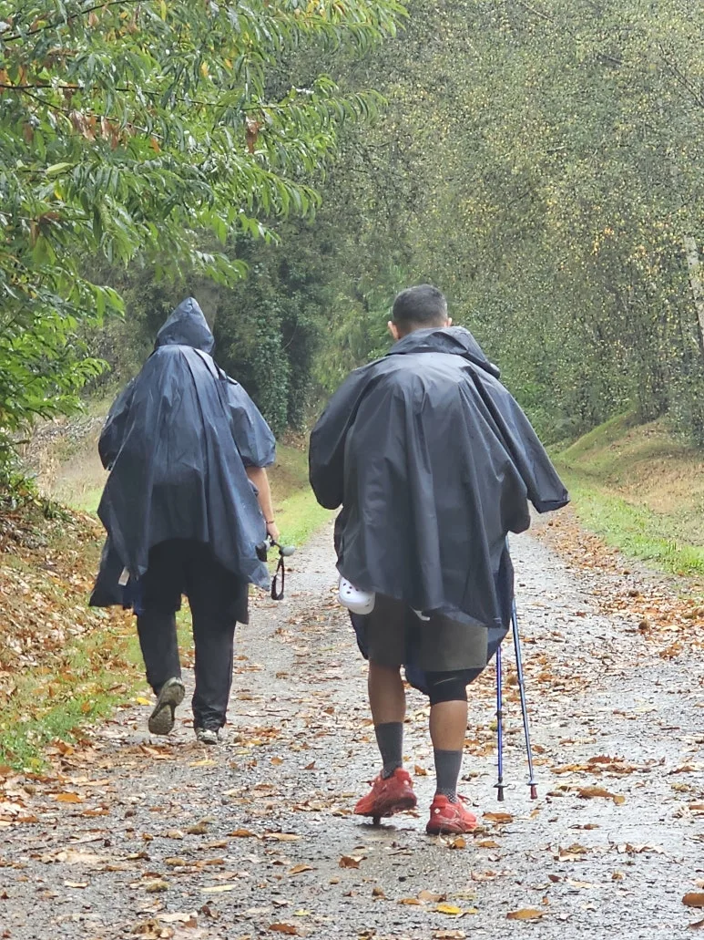 20251019_154327.jpg?type=w773