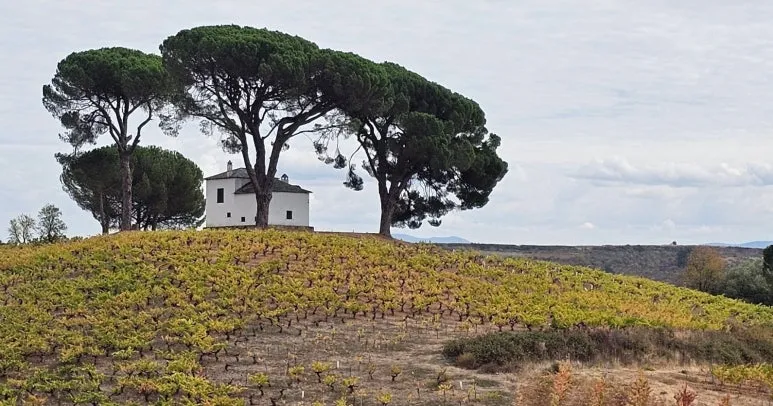 SE-fb7bebf7-5688-4c71-8d9f-4aac1a53d0e2.jpg?type=w773