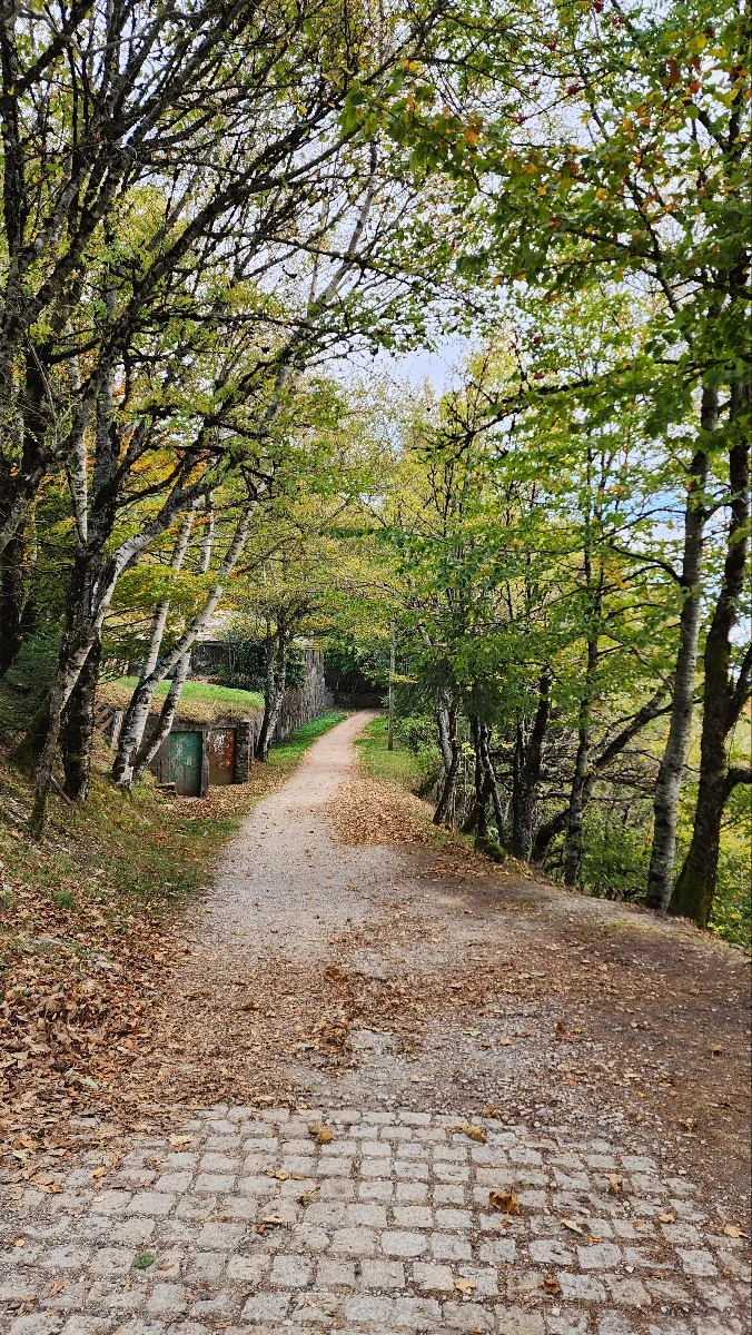 1760470931621.jpg?type=w773