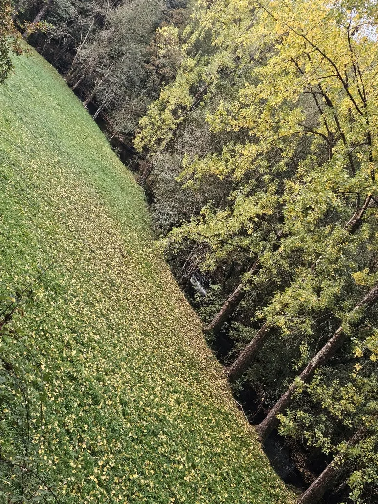 20251016_085952.jpg?type=w773