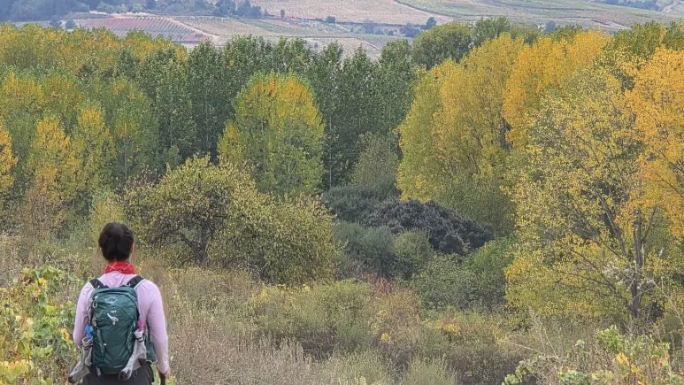 1760469692444.jpg?type=w773