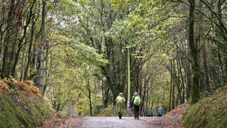 1761064801750.jpg?type=w773