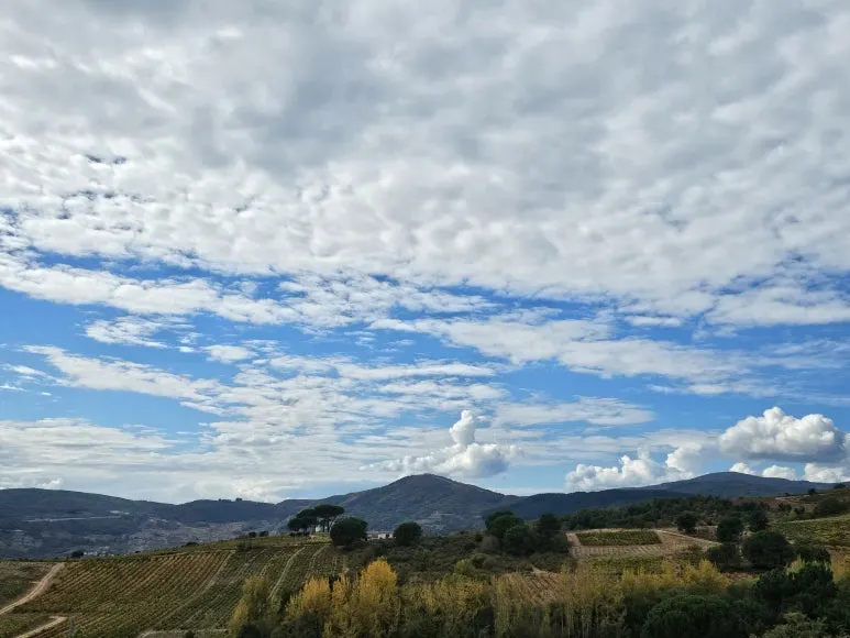 20251013_135331.jpg?type=w773