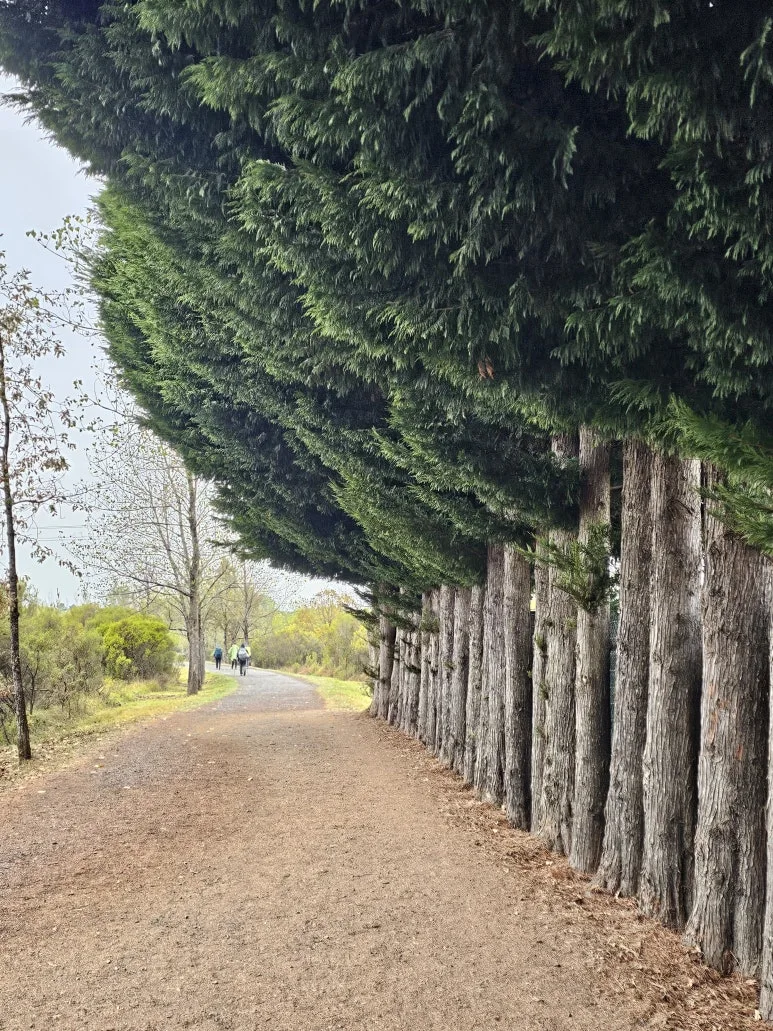 20251019_103709.jpg?type=w773