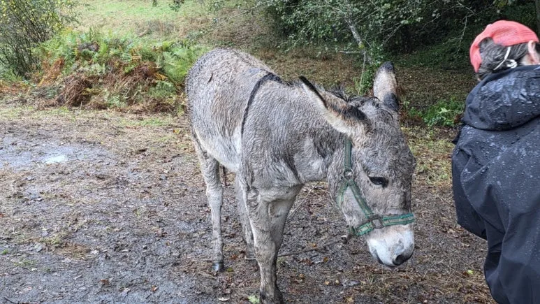 8_c3fUd018svc1utfjbq0khx1p_q9l9cx.jpg?type=w773