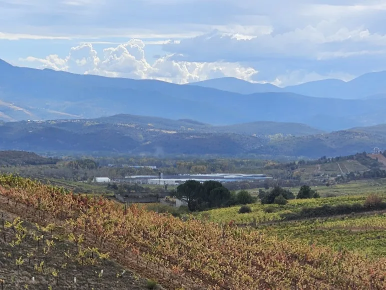 20251013_140738.jpg?type=w773