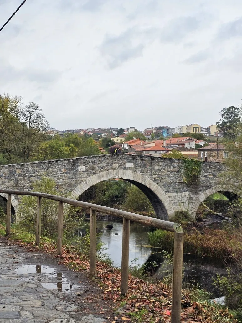 20251019_110456.jpg?type=w773