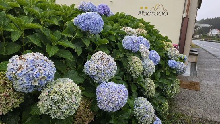 1760975007850.jpg?type=w773