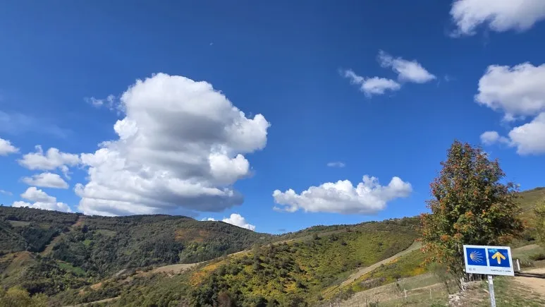 1760506314651.jpg?type=w773