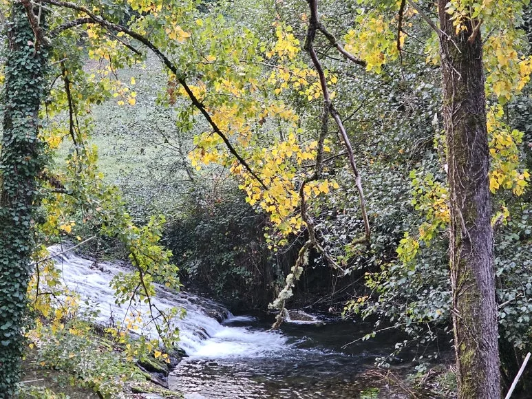 20251016_085757.jpg?type=w773