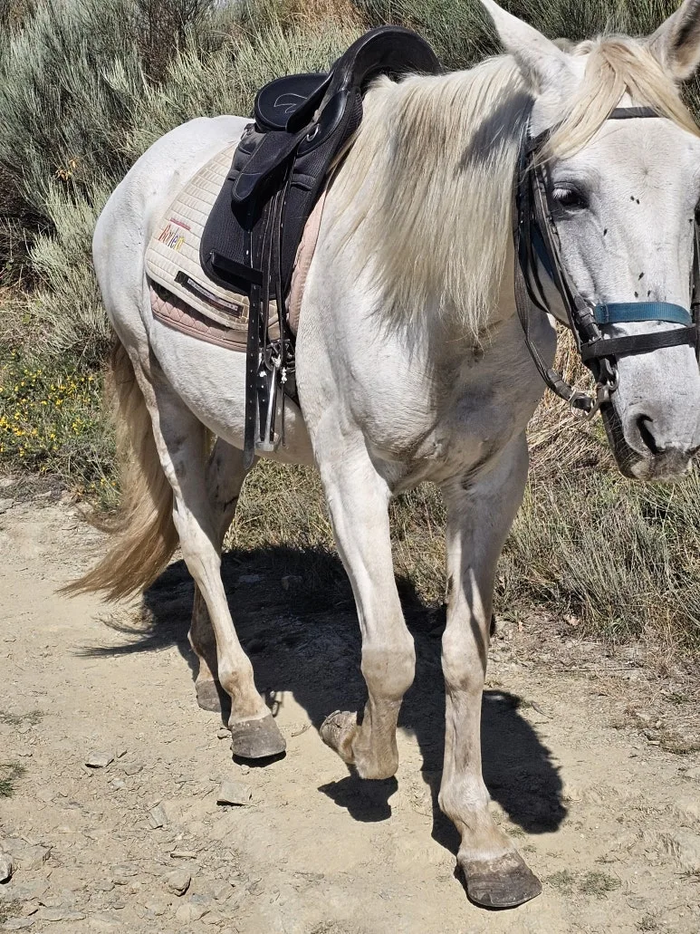 20251014_125440.jpg?type=w773