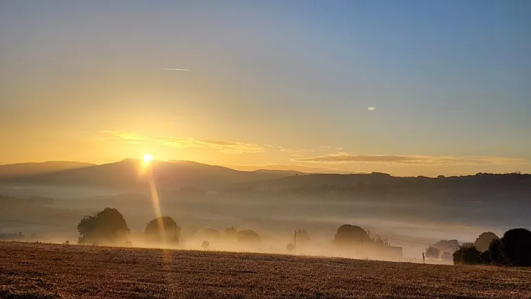 1760716424372.jpg?type=w773