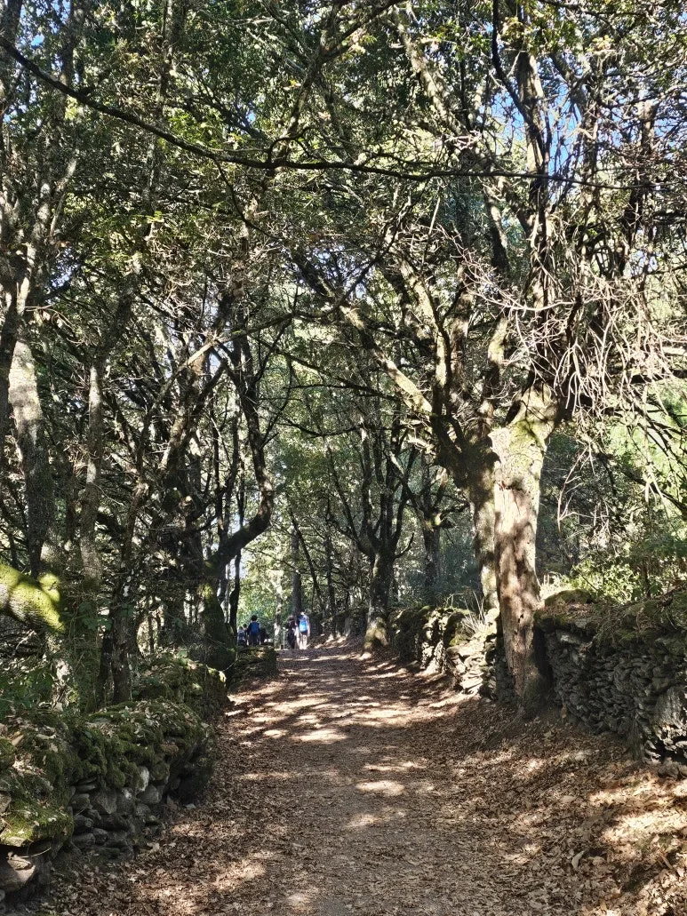 20251017_120851.jpg?type=w773