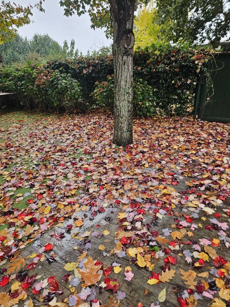 20251020_140831.jpg?type=w773