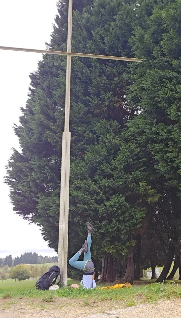 _c_38fhid_a_66gUd018svcsxg1h5y0io0_q9l9cx.jpg?type=w773