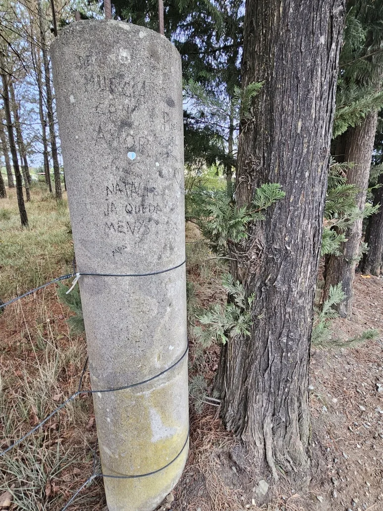 20251019_103105.jpg?type=w773