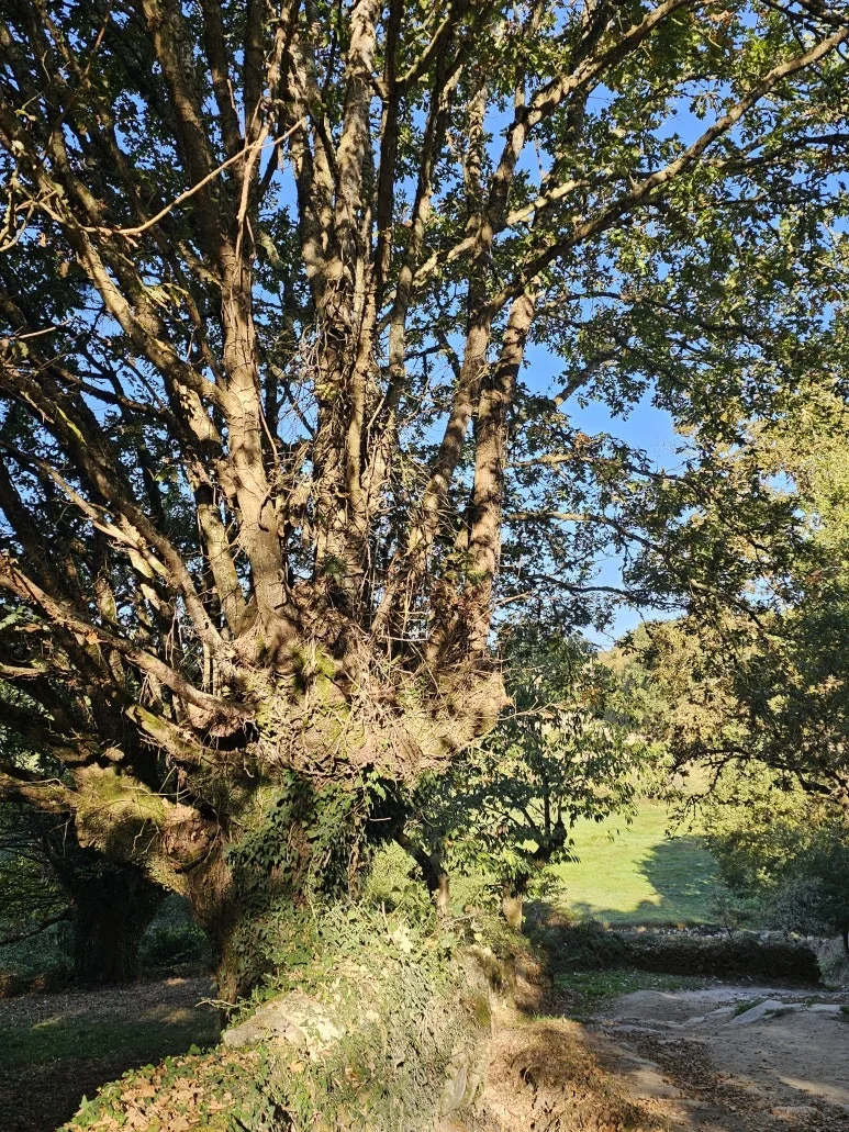 20251017_104004.jpg?type=w773