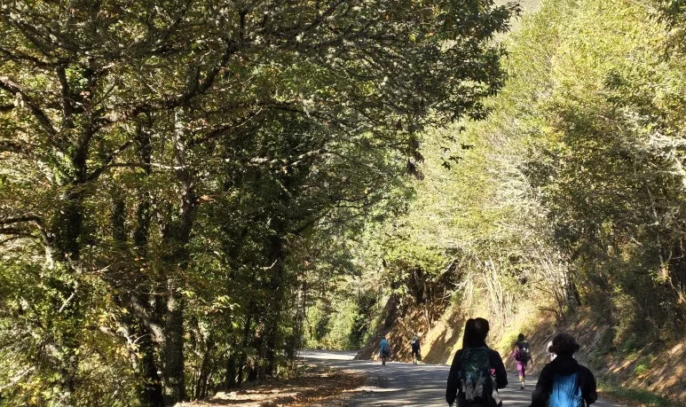 1760470751244.jpg?type=w773