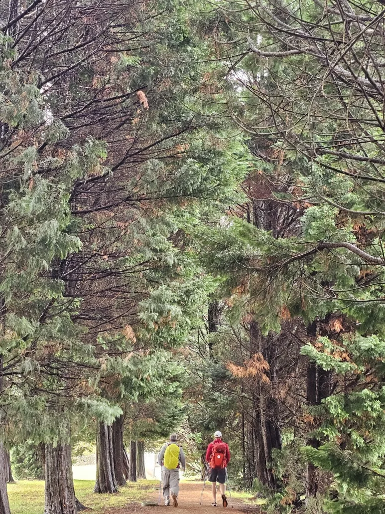 20251021_122843.jpg?type=w773