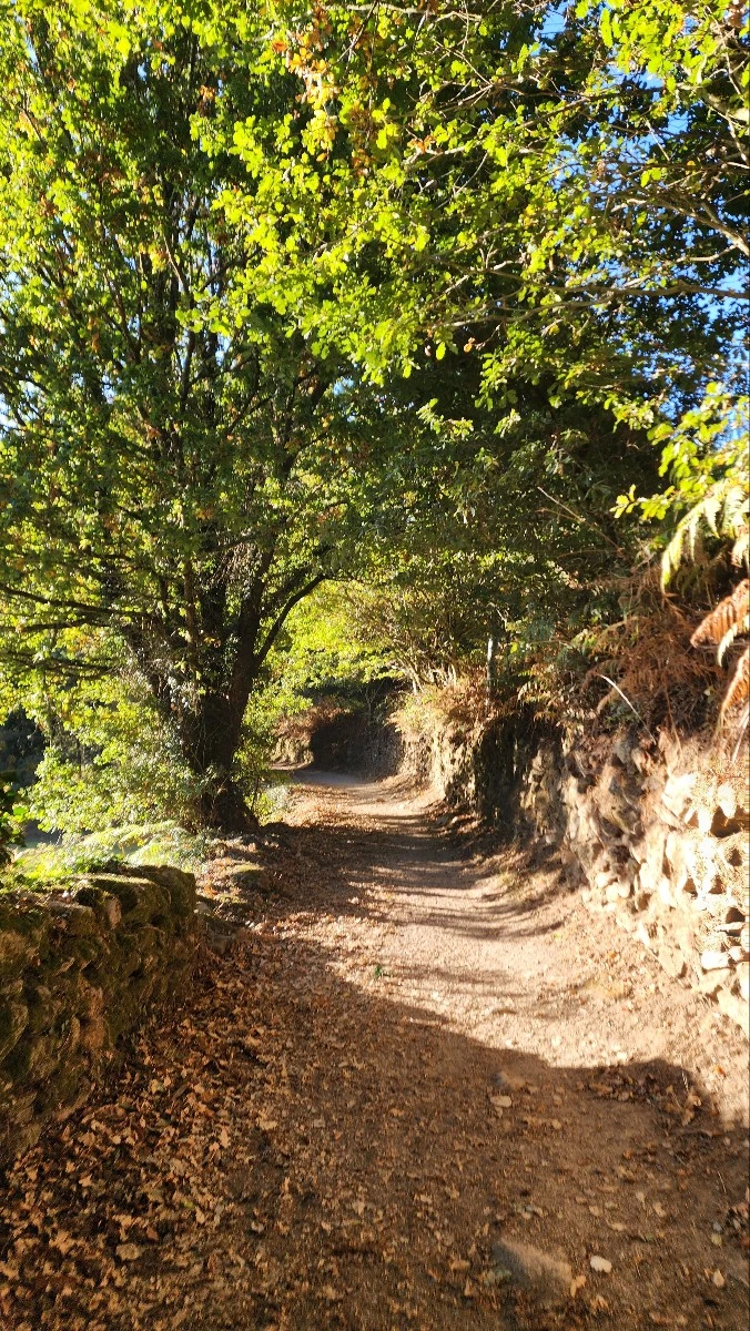 1760716468693.jpg?type=w773