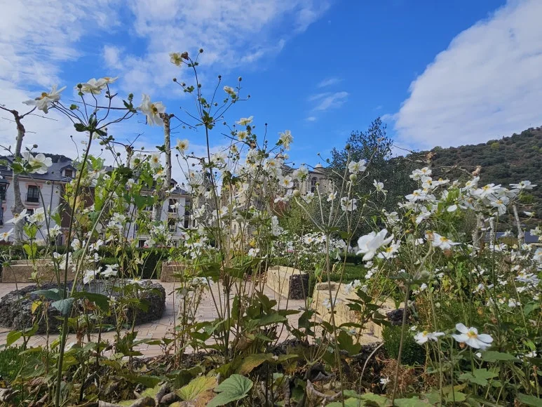 20251013_150137.jpg?type=w773