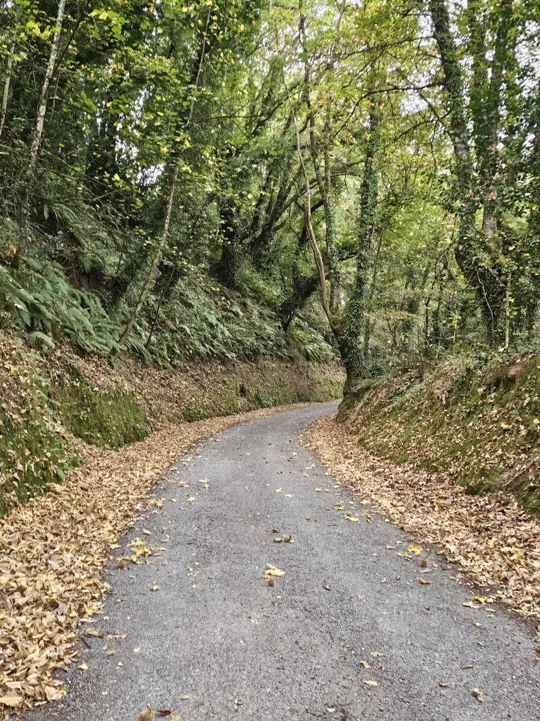 20251016_093412.jpg?type=w773