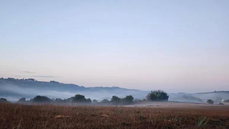 1760716341396.jpg?type=w773