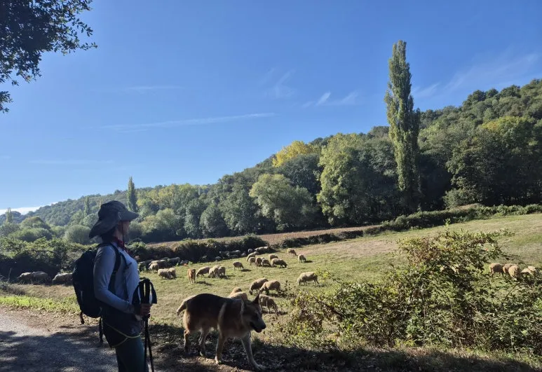 1760642054887.jpg?type=w773