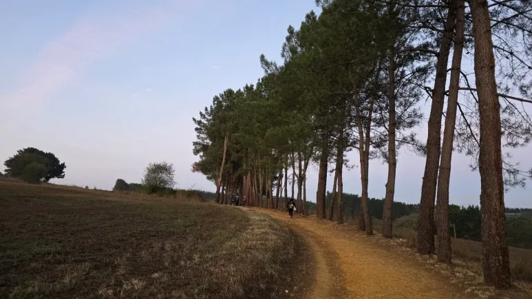 1761638092215.jpg?type=w773