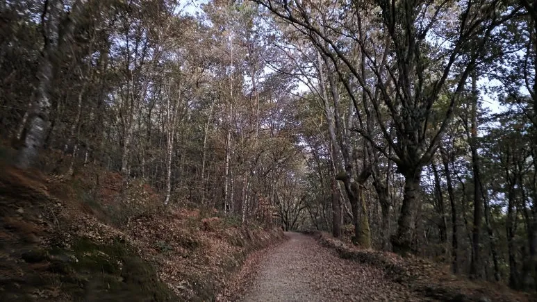 1761638090598.jpg?type=w773