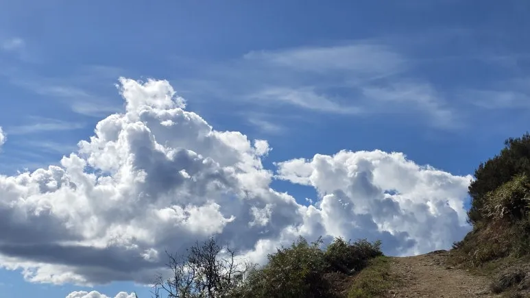 1760506334372.jpg?type=w773