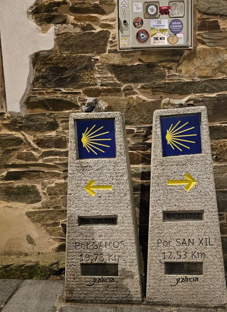 SE-2086913e-4e5c-41cb-a852-c86461b8805c.jpg?type=w773