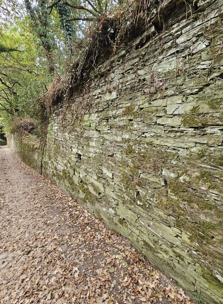 20251016_094226.jpg?type=w773