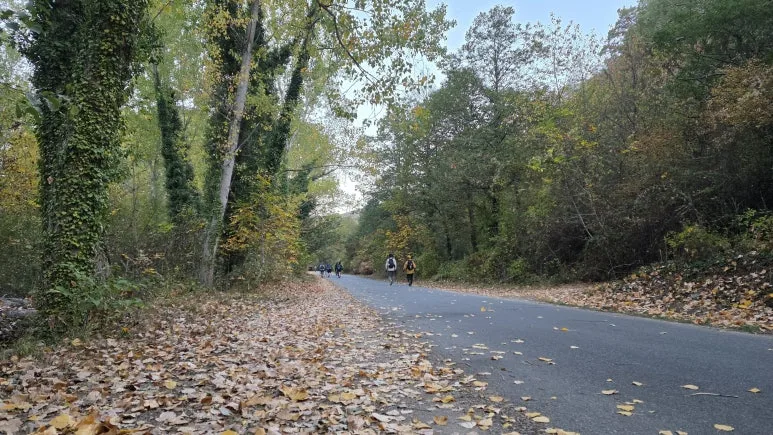 1760470633620.jpg?type=w773