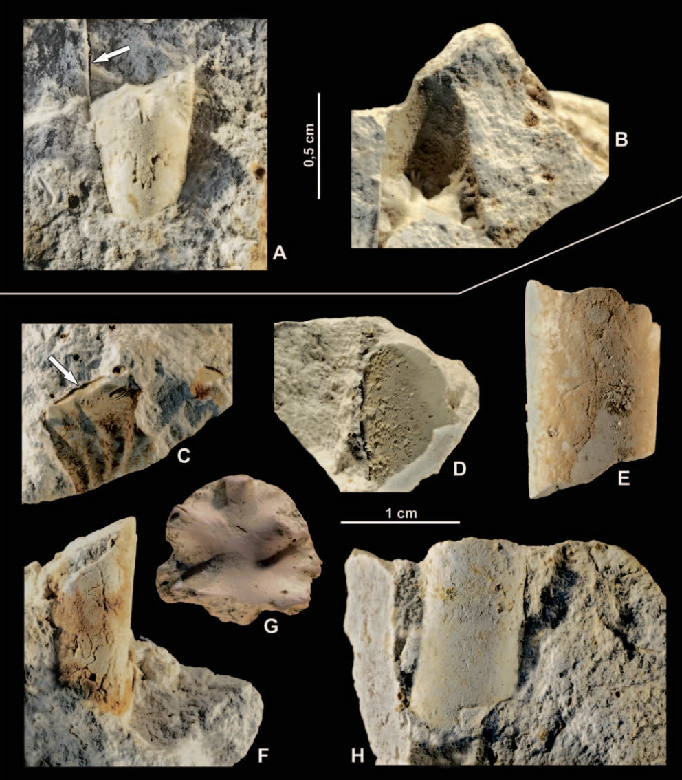 img.png?credential=yqXZFxpELC7KVnFOS48ylbz2pIh7yKj8&expires=1772290799&allow_ip=&allow_referer=&signature=gUhbUPsLDDT79EWZRUoXNOv1IbM%3D