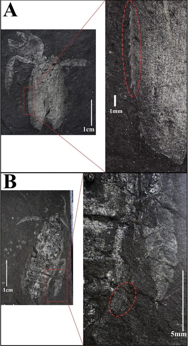 img.png?credential=yqXZFxpELC7KVnFOS48ylbz2pIh7yKj8&expires=1772290799&allow_ip=&allow_referer=&signature=wry415oSbNB2GOiEyfPV%2Bl50vT8%3D