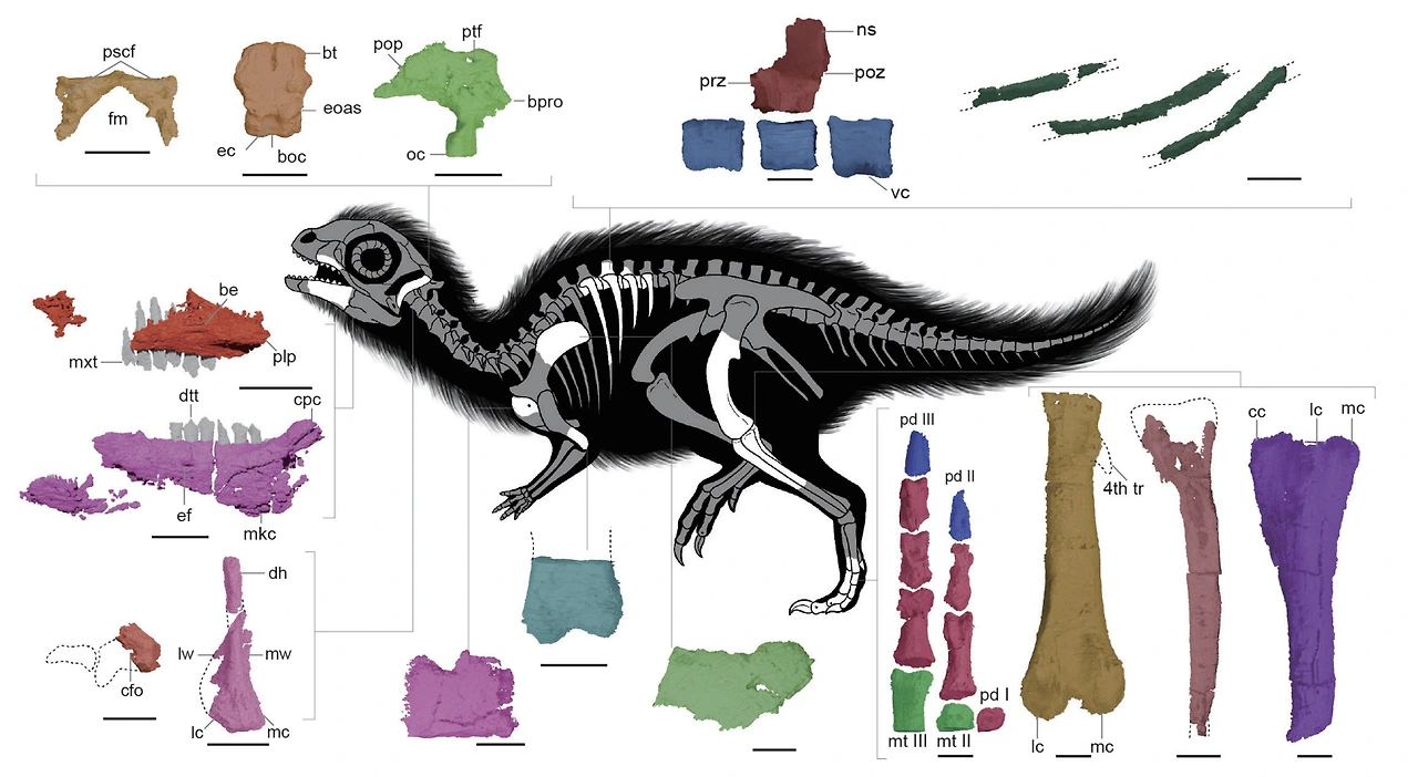 img.png?credential=yqXZFxpELC7KVnFOS48ylbz2pIh7yKj8&expires=1774969199&allow_ip=&allow_referer=&signature=jE4VK43ytzTP6syiPRYsYpc19QQ%3D