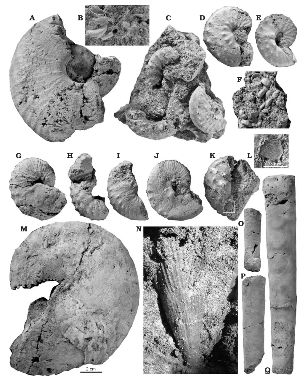 img.png?credential=yqXZFxpELC7KVnFOS48ylbz2pIh7yKj8&expires=1772290799&allow_ip=&allow_referer=&signature=KPOAViwgaVsa%2B%2BOfmODMUAktOZQ%3D
