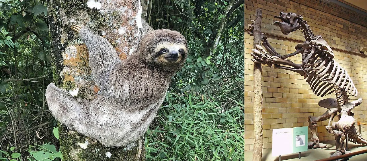 img.jpg?credential=yqXZFxpELC7KVnFOS48ylbz2pIh7yKj8&expires=1772290799&allow_ip=&allow_referer=&signature=J45fLZgmKkTUHx2NRuhxUtBYeVk%3D