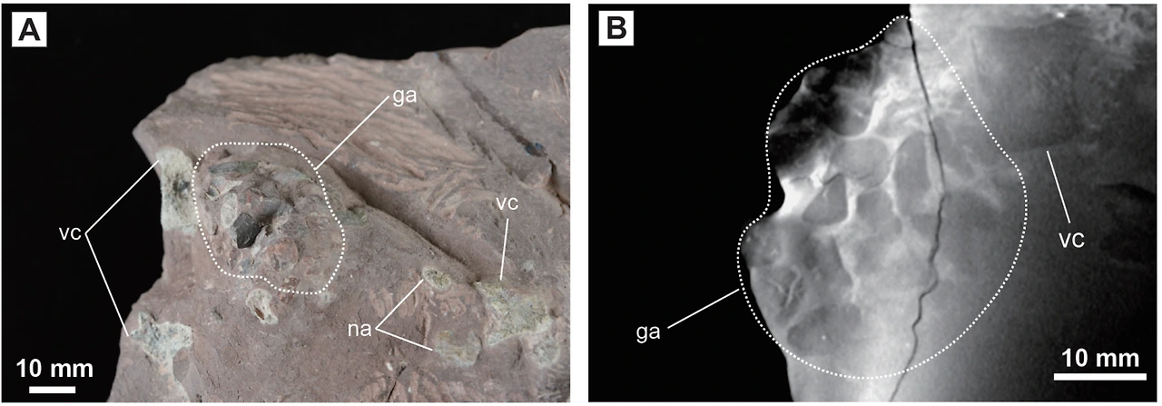 img.png?credential=yqXZFxpELC7KVnFOS48ylbz2pIh7yKj8&expires=1774969199&allow_ip=&allow_referer=&signature=%2B6mVqYhRIhoMF%2FrafPQrGQmgApM%3D