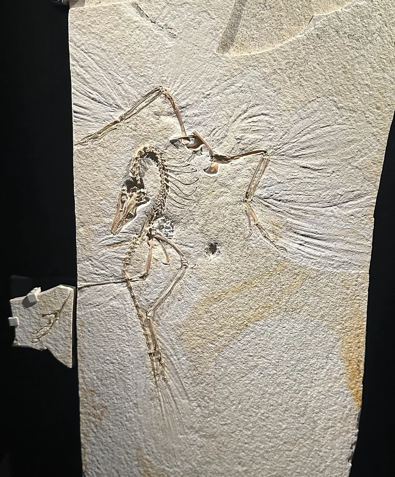 img.jpg?credential=yqXZFxpELC7KVnFOS48ylbz2pIh7yKj8&expires=1774969199&allow_ip=&allow_referer=&signature=lW9d1gPkSVW%2FSd22McOKu8rgoEU%3D