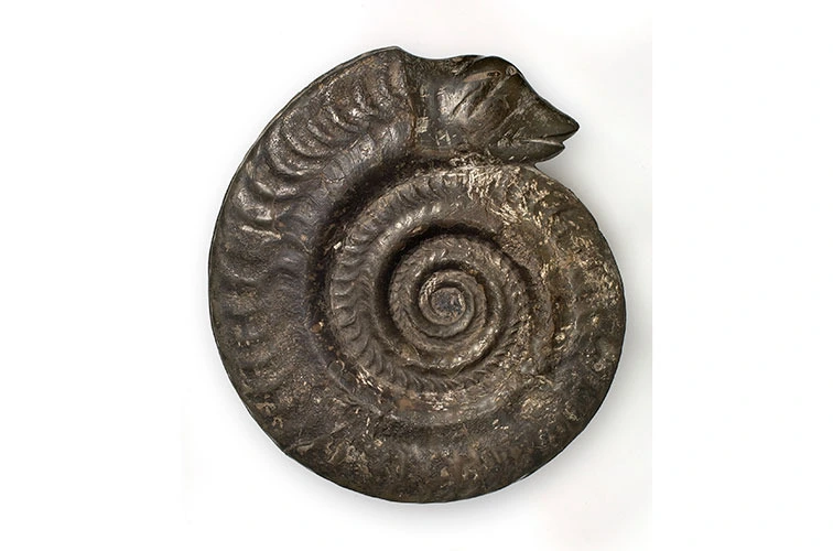 img.jpg?credential=yqXZFxpELC7KVnFOS48ylbz2pIh7yKj8&expires=1772290799&allow_ip=&allow_referer=&signature=oRD6Xkzo4TzrWBN74II67Pcdmz0%3D