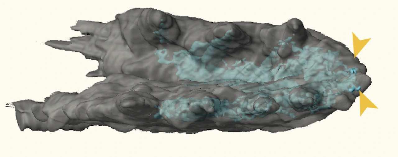 img.png?credential=yqXZFxpELC7KVnFOS48ylbz2pIh7yKj8&expires=1774969199&allow_ip=&allow_referer=&signature=fPk6soQ%2FAysGPK5NE7dBMK%2F56bo%3D